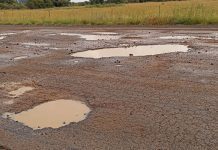 ‘Government is failing SA’s agri sector’ – Agbiz