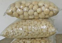 Macadamia prices continue to fall amid oversupply