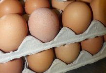 Limited stocks of poultry products unrelated to bird flu, says SAPA