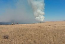 Eskom’s lack of maintenance causing fire outbreaks