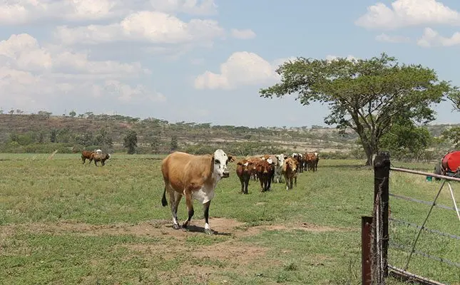 Help us help you become a better farmer