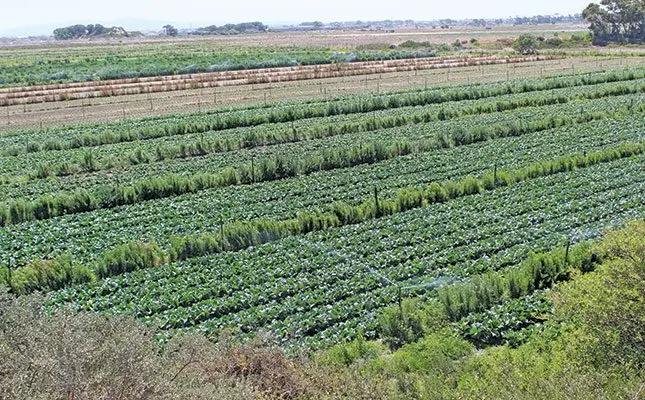 The pitfalls and benefits of diversifying your farming operation