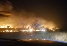 Arsonists allegedly behind many of the veldfires