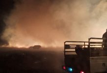 Hundreds of thousands of hectares lost to veld fires in North West