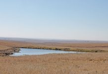 World Food Day highlights impending water crisis