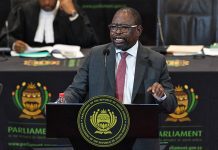 Mid-Term Budget blues: We don’t have money, says Godongwana