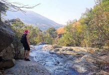 Holiday goers flock to farms for health and fitness agritourism farms