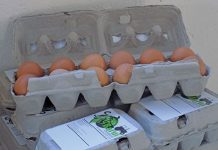 High prices put the brakes on eggy breakfasts