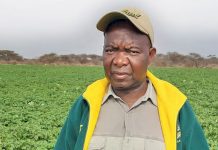 Good advice and hard work tripled this farmer’s potato crop
