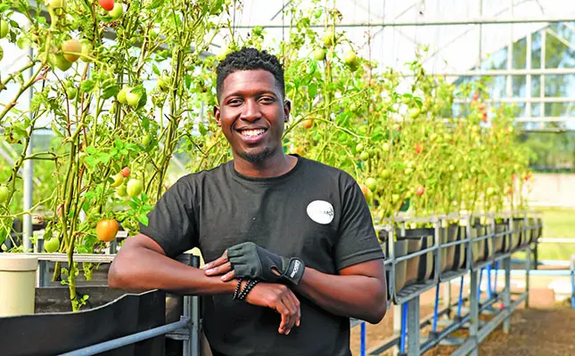 How aquaponics is being used to feed communities
