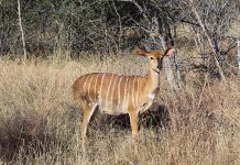 Game industry continues its upward trajectory