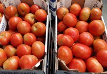 SA’s fresh produce prices vs the world’s: are they the cheapest?