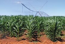 New provincial MECs appointed to lead SA’s agriculture sector