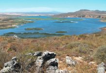 Sandveld water restrictions catastrophic for food security