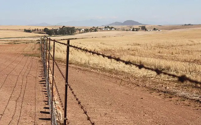 Government urged to step up rural safety interventions