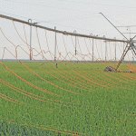 Irrigation
