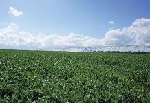 Innovation and technology crucial for crop production to thrive