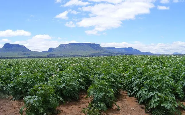 Poor policies in the spotlight on World Food Day