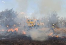 Record 2 304 wildfire incidents call for strong intervention