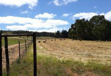 Expropriation Bill sparks concerns on land reform, food security