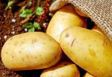 No need to panic over supply – Potatoes SA CEO