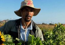 How a food forest is helping an Eastern Cape community escape food insecurity