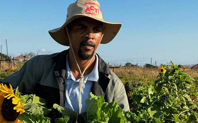 How a food forest is helping an Eastern Cape community escape food insecurity