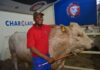 Visitor gallery: Nampo Day 3 and 4