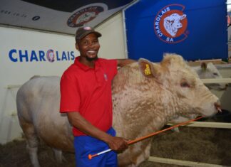 Visitor gallery: Nampo Day 3 and 4