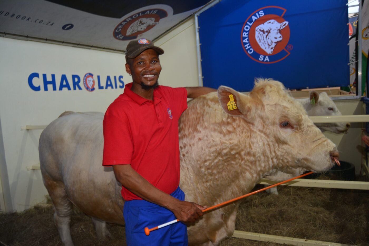 Visitor gallery: Nampo Day 3 and 4