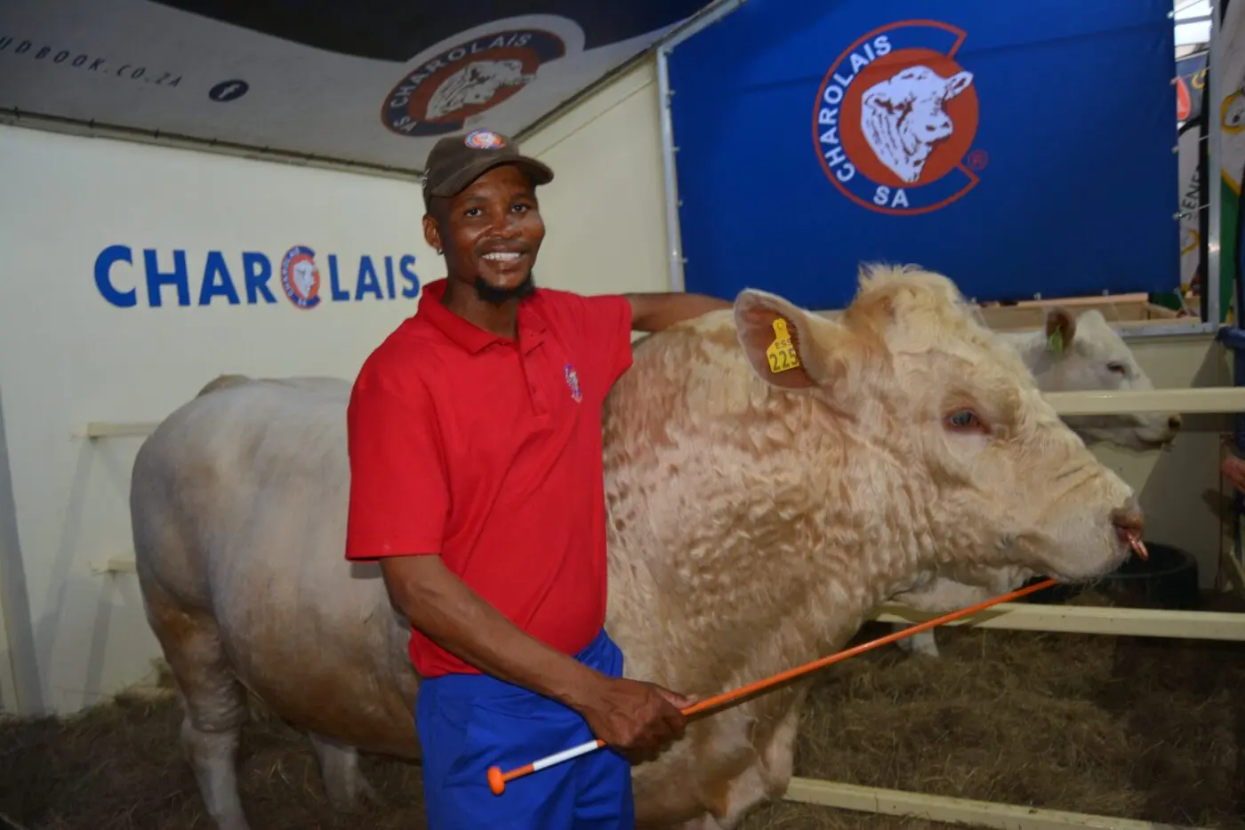Visitor gallery: Nampo Day 3 and 4