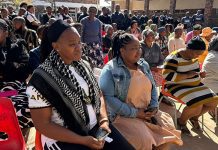 Eastern Cape agri campaign teaches learners to grow their own food