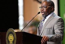 Budget 2025: SA faces slower growth, higher costs