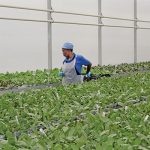 Biocontrol