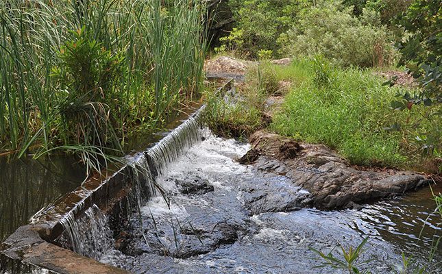 Sewage-infested water in the Lowveld threatens export markets Sewage-infested water in the Lowveld threatens export markets