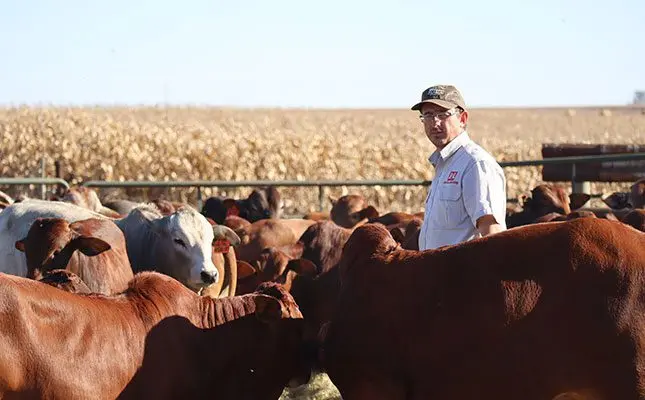 AgriCulture Mpumalanga’s 2025 young farmer talks challenges, hope, growth