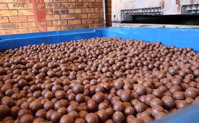 SA macadamia crop to double within next decade SA macadamia crop to double within next decade