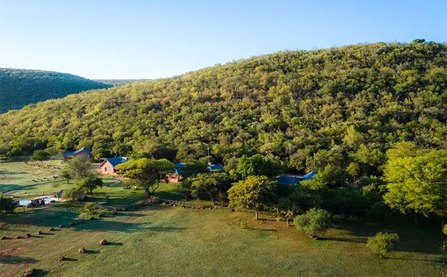 Wine and wild dogs in the Waterberg