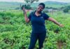 ‘Inspiring other young people is my goal’