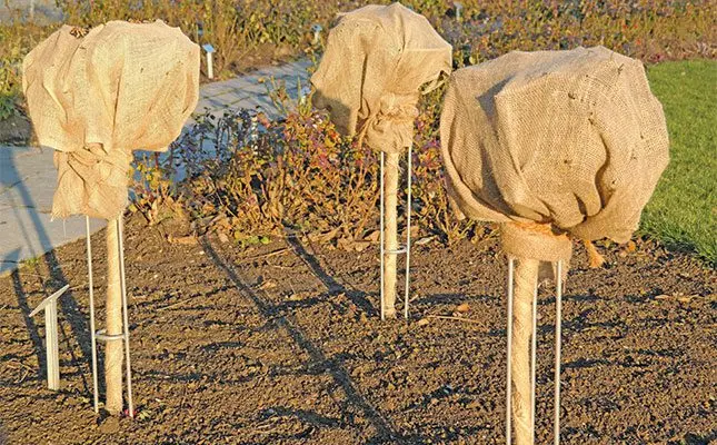 Preparing your garden for winter