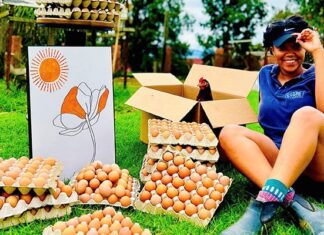 Young female farmer aims to provide affordable food and create jobs