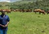 Flying high and closing the technological gap in rural farming