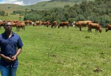 Flying high and closing the technological gap in rural farming