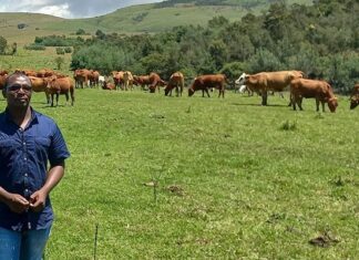 Flying high and closing the technological gap in rural farming