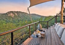 Pangolins, coral reefs, and the Big Five: a unique Zululand safari