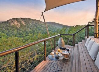 Pangolins, coral reefs, and the Big Five: a unique Zululand safari