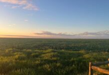 New study reveals key drivers and gaps in SA’s land redistribution
