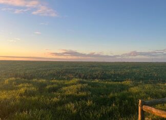 New study reveals key drivers and gaps in SA’s land redistribution