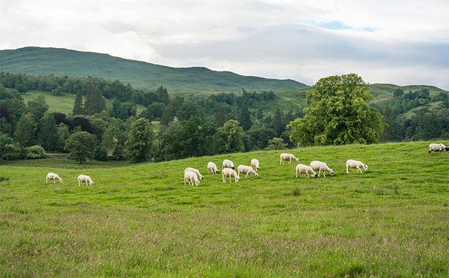 Majority of UK farmers rely on non-farming enterprises to keep afloat