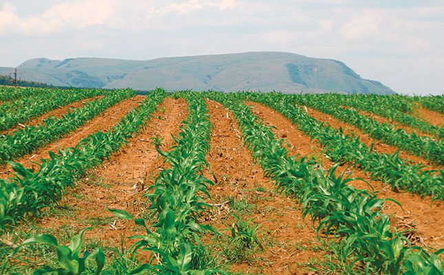 R100 million Land Bank investment set to boost growth in SA’s agriculture sector R100 million Land Bank investment set to boost growth in SA’s agriculture sector